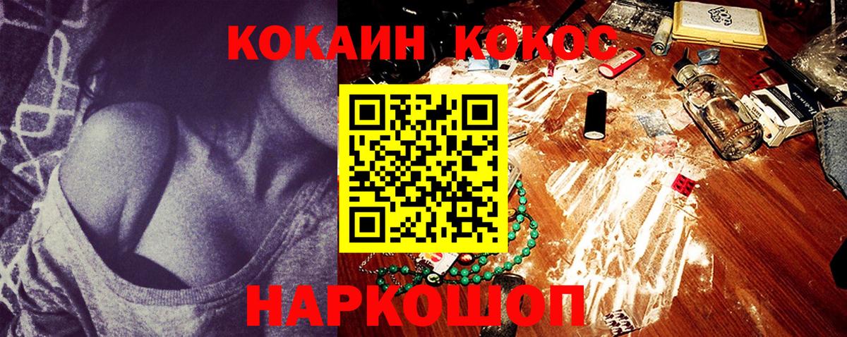A PVP Новороссийск