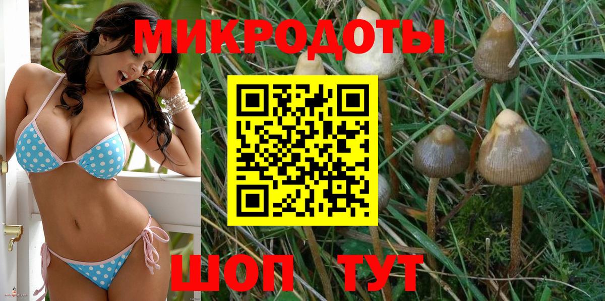 Галлюциногенные грибы GOLDEN TEACHER Новороссийск