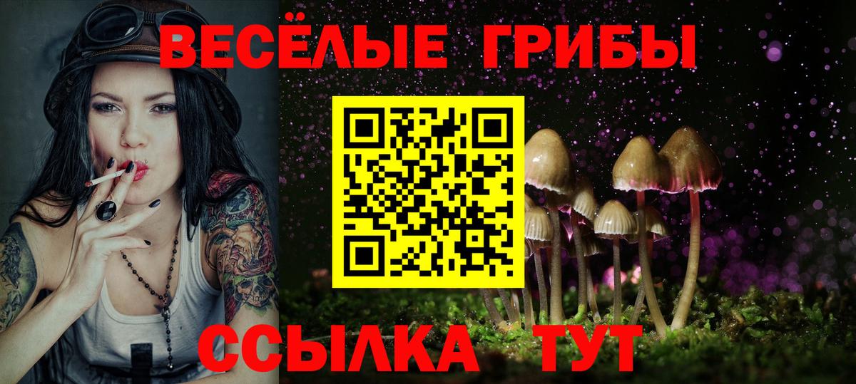 Новороссийск  Галлюциногенные грибы Cubensis  Вход с VPN 